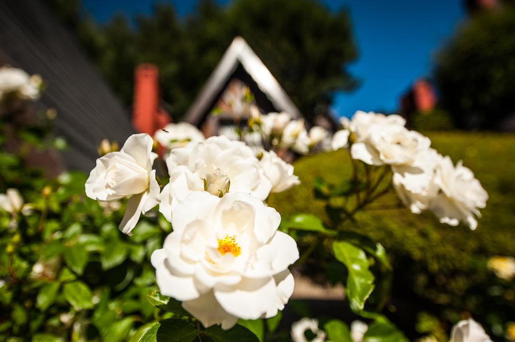 Cabanas Antilhue San Martín de los Andes Exterior foto